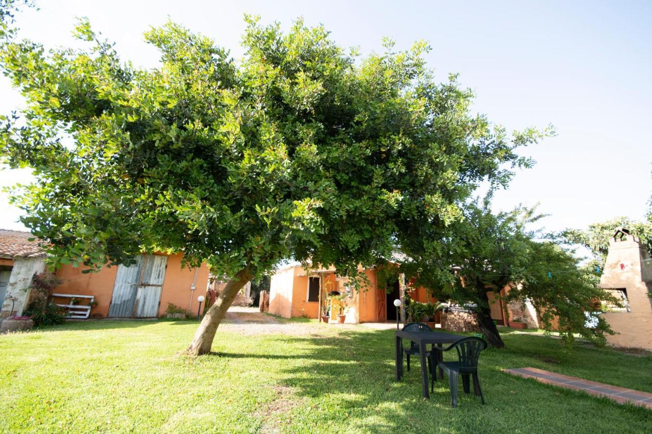 Bed and Breakfast Is Cuccus Masainas Екстер'єр фото