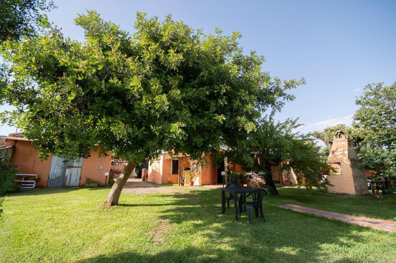 Bed and Breakfast Is Cuccus Masainas Екстер'єр фото