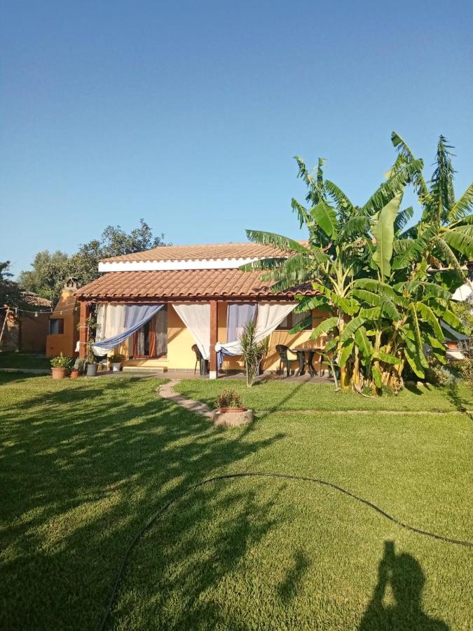 Bed and Breakfast Is Cuccus Masainas Екстер'єр фото